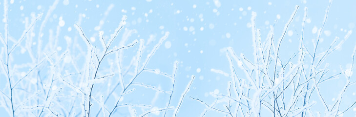 Winter nature background, frozen tree branches and falling snowflakes, wide banner