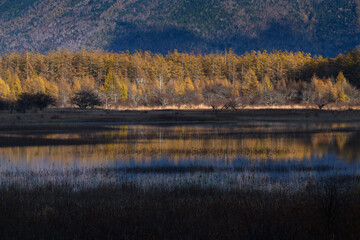 秋の小田代ヶ原