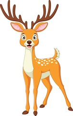 Cartoon funny deer on white background