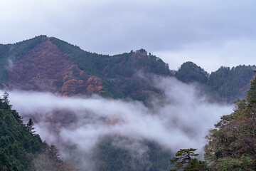 Fototapeta premium Autumn season misty wether mountain. Beautiful background. Misty mountain forest landscape in the morning in Japan