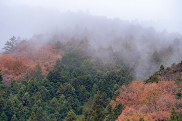 Autumn season misty wether mountain. Beautiful background. Misty mountain forest landscape in the morning in Japan
