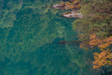 Autumn landscape beautiful colour trees over the river glowing in the sunlight and misty. wonderful background. mountain reflection green water. Amazing view river dam in Japan