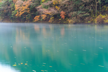 Autumn landscape beautiful colour trees over the river glowing in the sunlight and misty. wonderful background. mountain reflection green water. Amazing view river dam in Japan