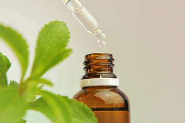  Stevia rebaudiana. liquid stevia in glass bottle and pipette in hand, fresh stevia sprig on light...