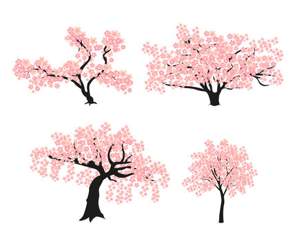 A set of beautiful, pink, flat vector trees of cherry blossoms, sakura for spring, summer decoration