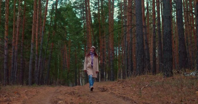 Pretty girl walks in a coniferous forest, looks around and enjoys nature. Girl touches the sweater with her hands, she is cold. Autumn walk in a fabulous forest with tall pines. 4k, ProRes