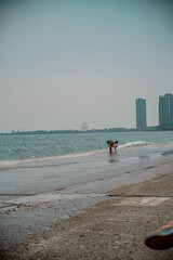 Chicago street photos