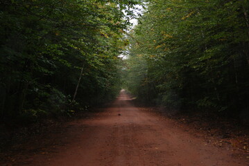 Fototapeta premium Prince Edward Island Red Dirt Road