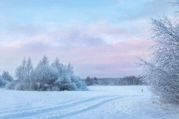 Beautiful winter landscape with field of white snow and forest on horizon on sunny frosty day