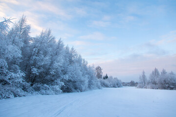 Beautiful winter landscape with field of white snow and forest on horizon on sunny frosty day