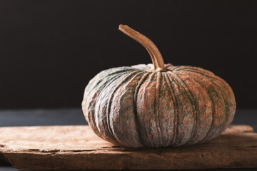Organic Asian pumpkin on wooden with black background, Still Life