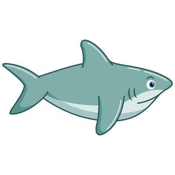 Cartoon shark on white background