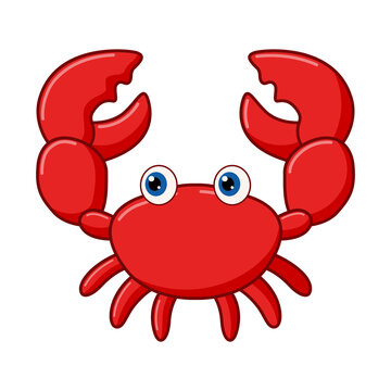Cartoon funny crab on white background
