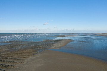 Obraz premium The oyster park at Utah Beach in Europe, France, Normandy, towards Carentan, in spring, on a sunny day.