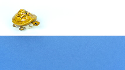 figurine of a turtle on a colored background in the studio