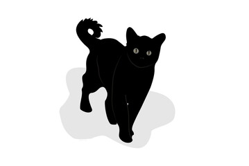 Cat silhouette isolated on white background vector image template