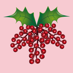 Christmas card holly berries. Christmas greetings card new year design ornament decoration isolate on pink color background vector image design