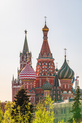 Fototapeta na wymiar Multi-colored domes of St. Basil's Cathedral and the Spasskaya Tower of the Moscow Kremlin around the trees. Symbols of the Russian state.