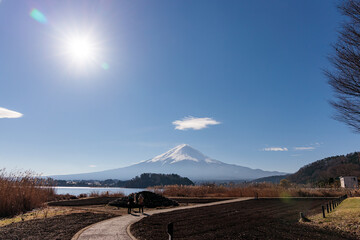 山梨県大石公園からの富士山