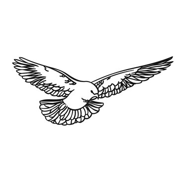 Soaring dove in a linear style on a white background. For printing, laser cutting, website and logo design. Vector illustration.