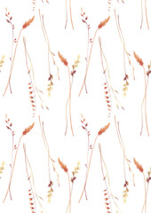 Watercolor seamless pattern with illustration of vintage spikelets and blades of grass isolated on a white background. Meadow plants, herbs. Dry simple field grass.