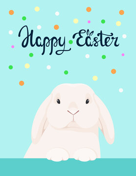 Happy Easter. A postcard with a cute rabbit. Cartoon design.
