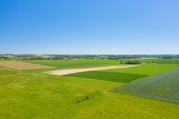 The Normandy countryside and its fields of flax and barley in Europe, France, Normandy, towards Deauville, in summer, on a sunny day.