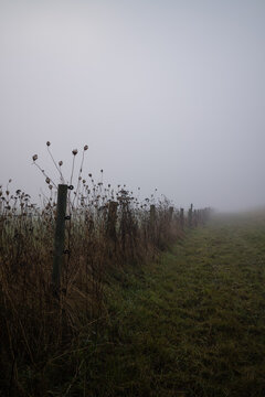 Zaun im Nebel