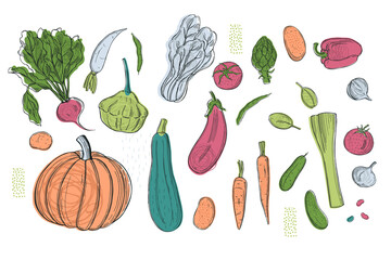 Sketch vegetables. Vector  illustration