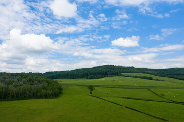 The green fields of the Countryside in Europe, France, Burgundy, Nievre, Morvan, in summer, on a sunny day.