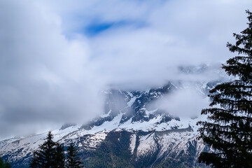 The Aiguille de Blaitiere and a beautiful fir tree in the Mont Blanc massif in Europe, France, the Alps, towards Chamonix, in summer, on a cloudy day.