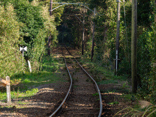 Fototapeta premium 森の中に続く線路 銚子電鉄