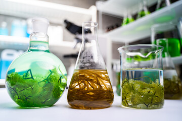 green alga laboratory research, alternative biofuel energy technology, biotechnology concept