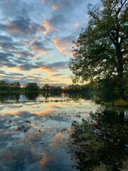 Tree Reflections at Sunset