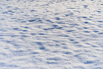 Snowy texture background and snow surface in winter under the sun on a clear frosty day.
