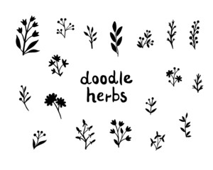 Botanical doodles set. Forest herbs, berries, twigs and flowers are drawn by hands on a white background. Ink graphics. Medicinal plants of Russian fields. Vector boho design silhouettes.