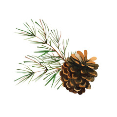 Cones and a spruce twig. Watercolor illustration on isolated white background.