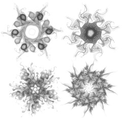 Set of four black snowflakes on a white background. Abstract computer generated fractal image of a snowflake. Illustration, isolate. Use as a stamp or brush