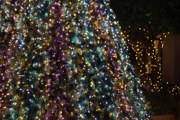 電飾されたクリスマスツリーと玉ボケ