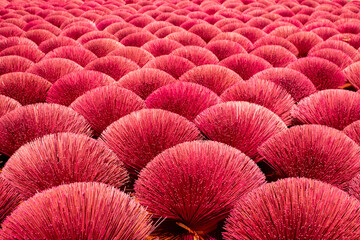 Bamboo sticks being dried outdoor to be made into incense sticks in Quang Phu Cau Village, the outskirts of Hanoi, Vietnam