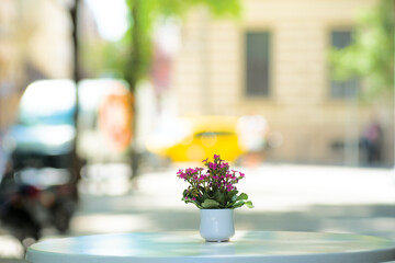 Flowers on the street cafe table