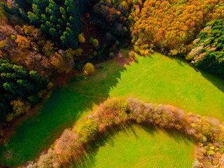 autum forest aerial photo