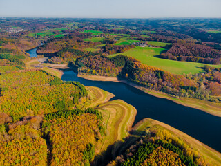autum forest aerial photo river