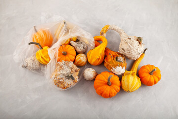 Rotten spoiled pumpkins in plastic bag on textured grey background. Ugly moldy vegetables. Improper...