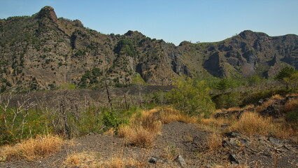 Landscape in Parco Nazionale del Vesuvio, Italy, Europe
