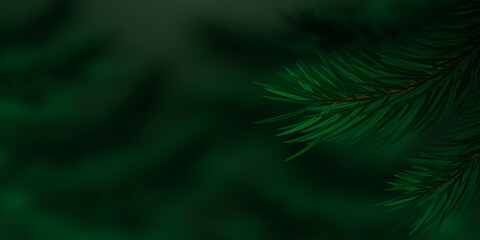 Coniferous twigs closeup. Dark nature background. Realistic pine or spruce branches on blurred background. Lush vegetation in a coniferous forest. Copy space. Vector illustration.
