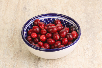 Ripe sweet tasty cranberry in the bowl