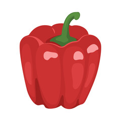 Red pepper isolated on white, sweet paprika, vegetables, spice, healthy food. Vector illustration in flat style