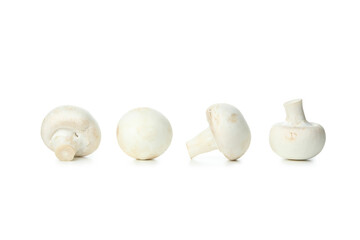 Tasty champignons mushrooms isolated on white background