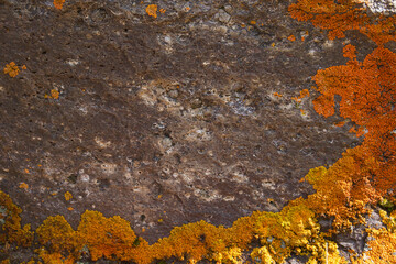 texture of an old mountain rock overgrown with orange lichen around the edges.  beautiful natural texture.  close-up.  place for text.  suitable for a photophone, background